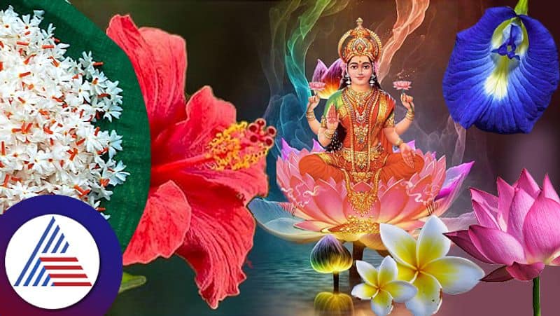 Offer these favorite flowers of Lakshmi to have luck and prosperity pav