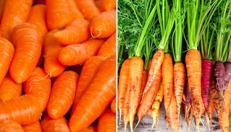 Skin health, Eye health to hydration: 7 reasons to eat carrots in Winter ATG