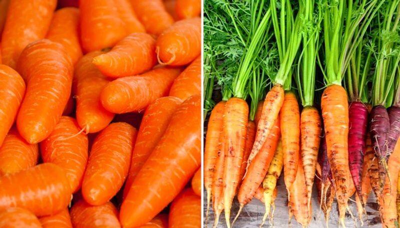 Carrot price has reached a peak in Chennai Koyambedu market KAK