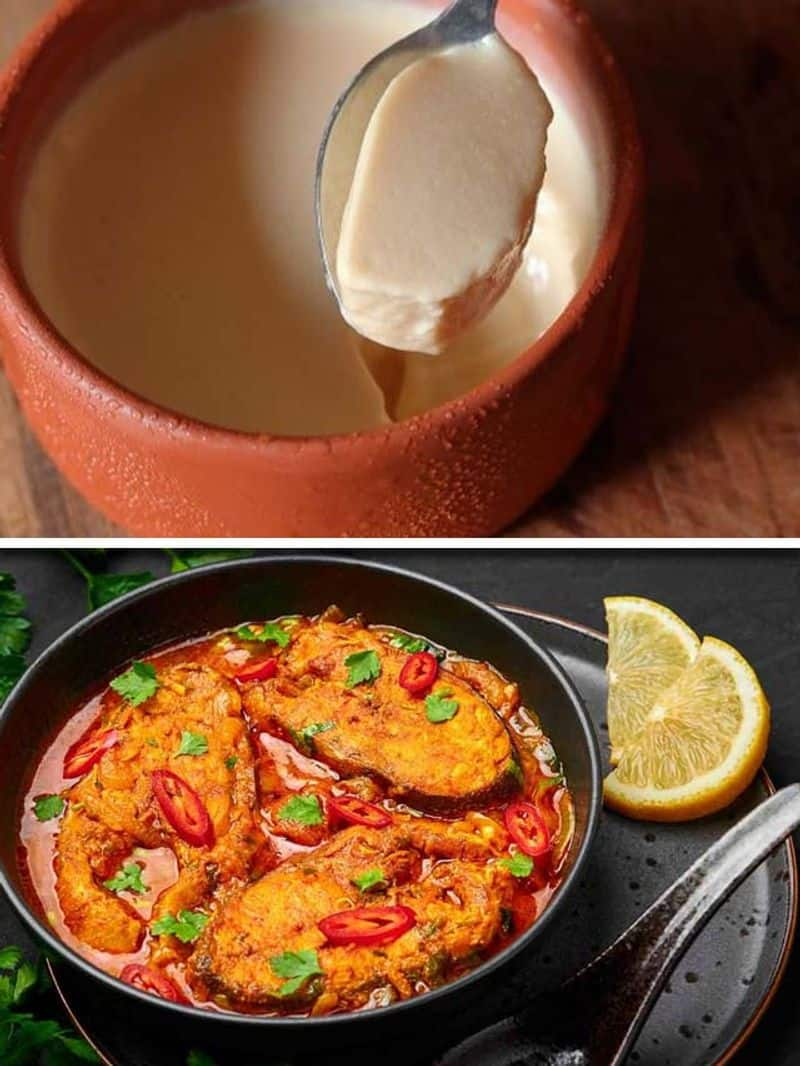 Macher Jhol to Mishti Doi: 7 popular foods in Kolkata vma