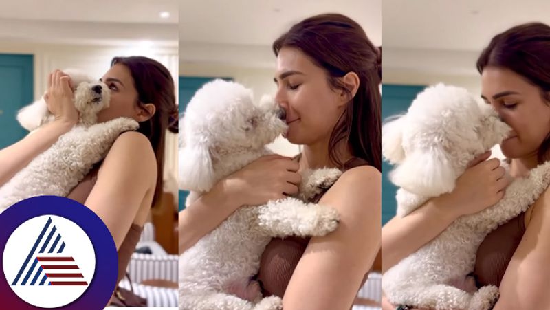 Actress Kriti Sanon shared a video with her pet dog fans react suc