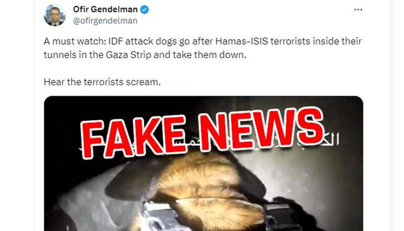 Fact Check: Did IDF send 'attack dogs' inside tunnels to go after Hamas terrorists? Truth about viral video AJR