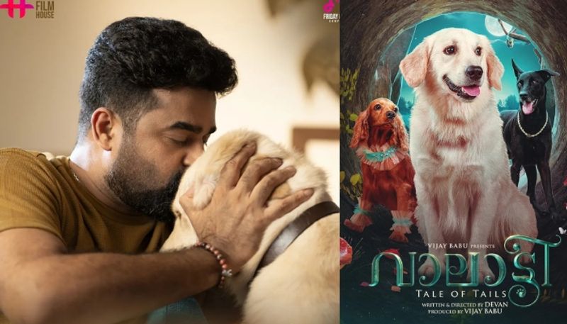 valatty tale of tails malayalam movie ott release date announced disney plus hotstar friday film house nsn