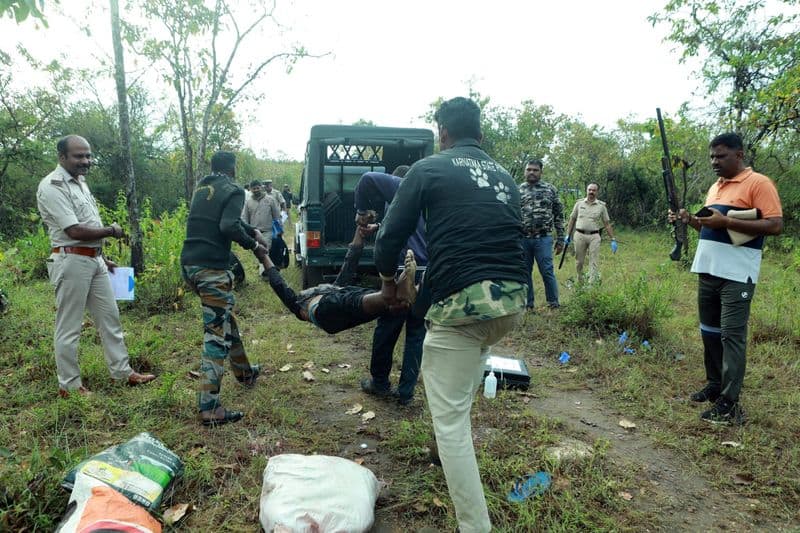 Poacher shot dead by Forest Dept personnel at Bandipur Tiger Reserve follow up vkv