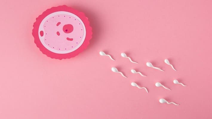 Infertility among men: Know the factors affecting sperm count and more RBA 