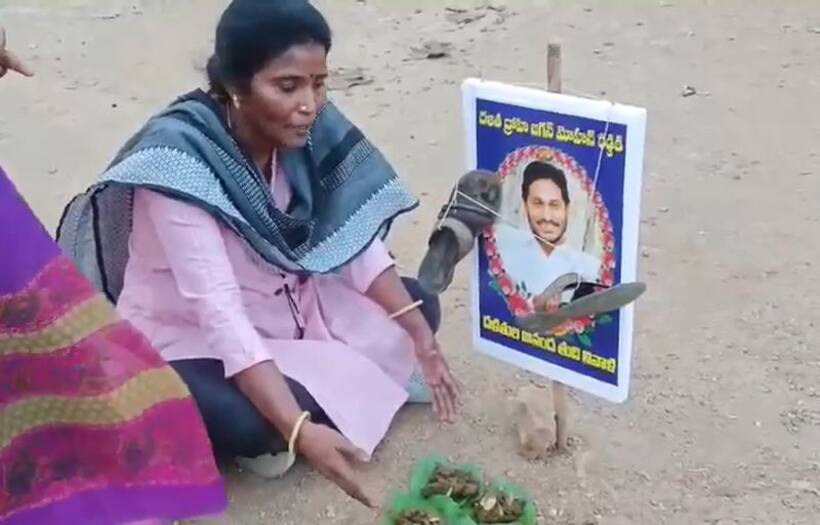 జగన్ ఫోటోకు చెప్పులదండేసి... పశువుల పేడతో పిండంపెట్టిన దళిత మహిళ (వీడియో)