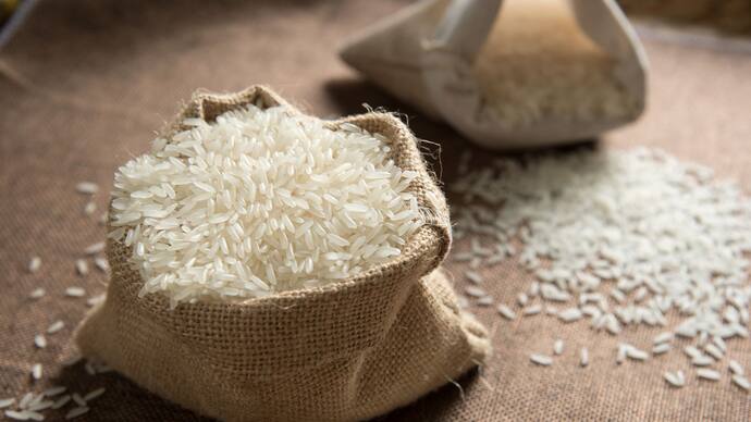 Rice 