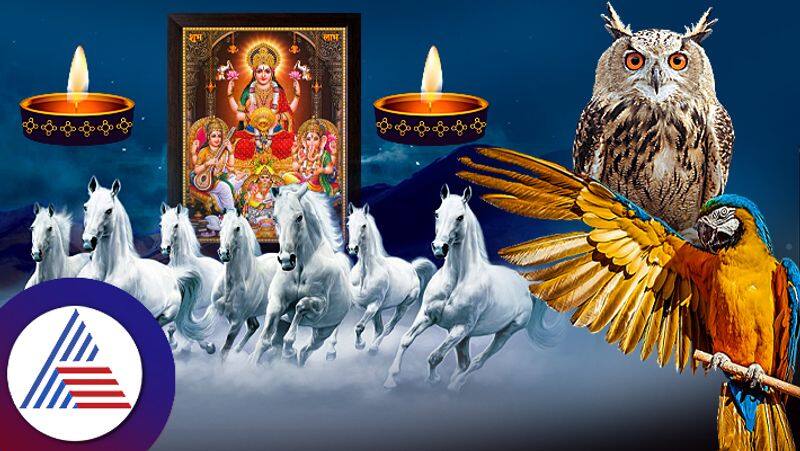 Bring  paintings of horse owl parrots to home on Deepawali  to have luck and prosperity pav