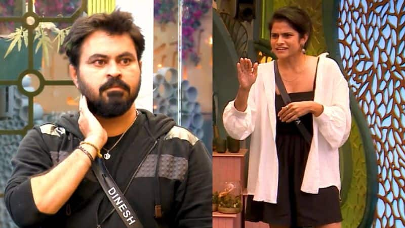 BiggBoss Dinesh slam maya for her bad comments about RJ Bravo gan