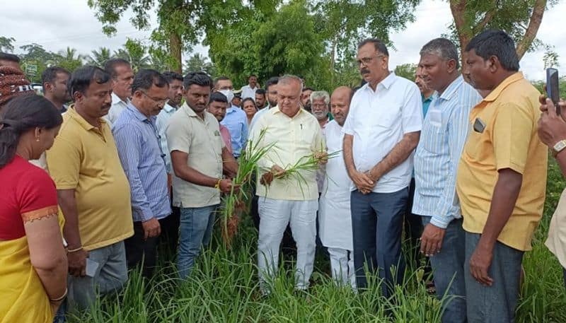 Central Government is Targeting Karnataka Says Minister Ramalinga Reddy grg 