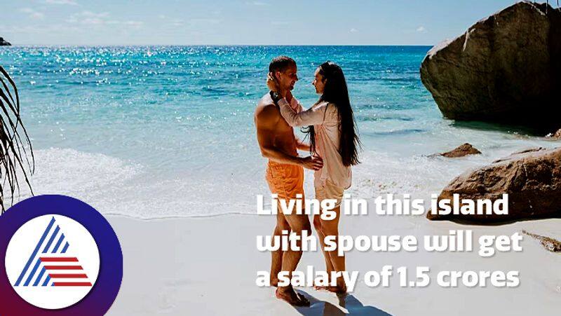 Billionaire Offered Crore Salary Entire Island To Live With Partner roo