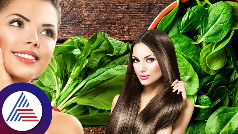 Benefits of Spinach for skin and hair care health and fitness tips pav