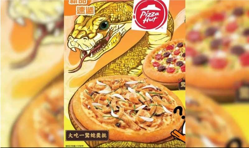 Yikes Snake meat on pizza in Hong Kong leaves internet disgusted; would you try it snt