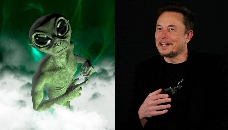 Earth annihilation a certainty': Elon Musk's urges multiplanetary future amid alien enigma (WATCH) snt