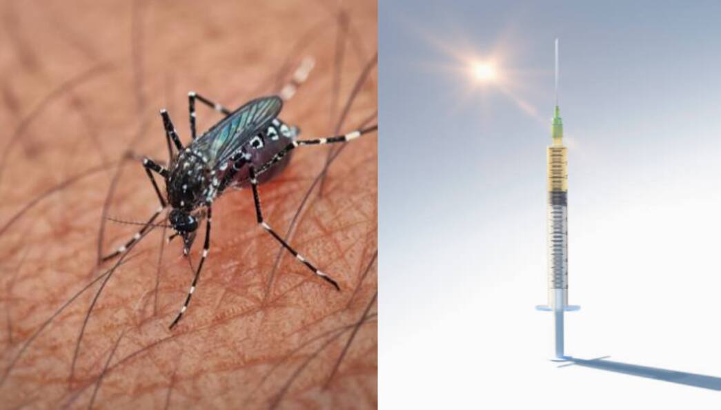 USFDA approves first vaccine to prevent disease caused by chikungunya virus gcw