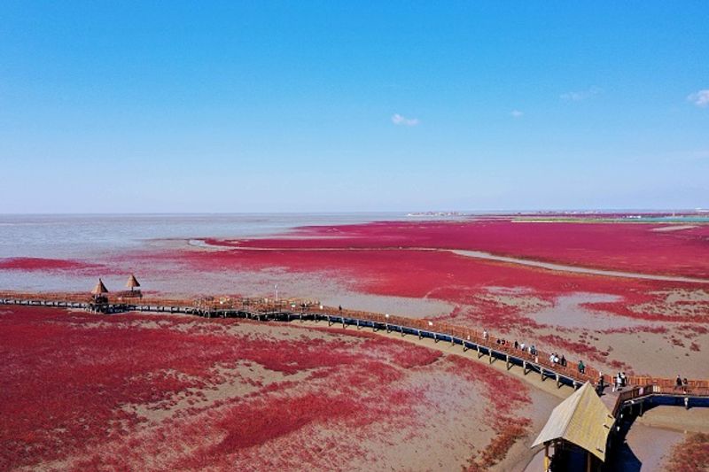 Known for its sandless Red Beach in China bkg