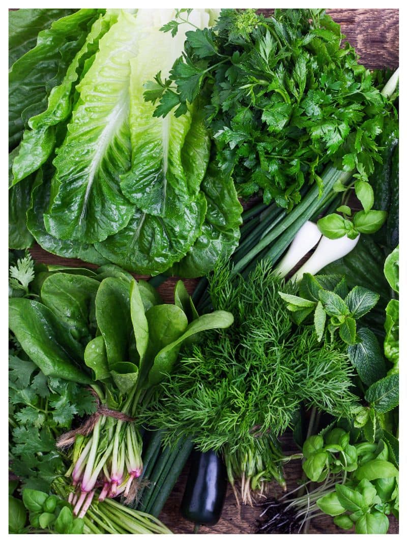 7 healthy benefits of eating green vegetable leaves rkn