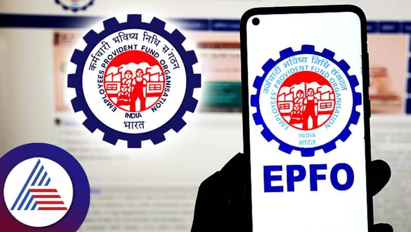 When will EPF interest be credited for 2023-24? Here s what EPFO has said, 4 ways to check PF balance