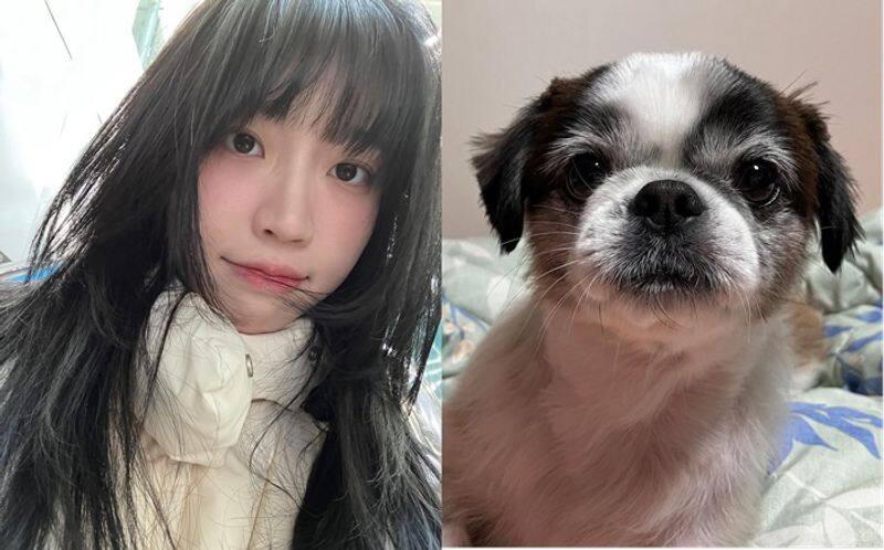 24 year old korean singer Nahee passes away final Instagram post goes viral ckm