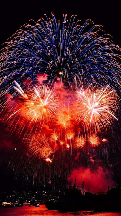 Types of fireworks