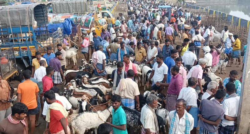 Ettayapuram Goat Market sales are down due to Continuous Rain dee