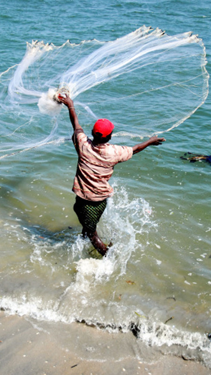 Interim Union Budget 2024 Fishery announcements could help generate more employment say industry stakeholders anu