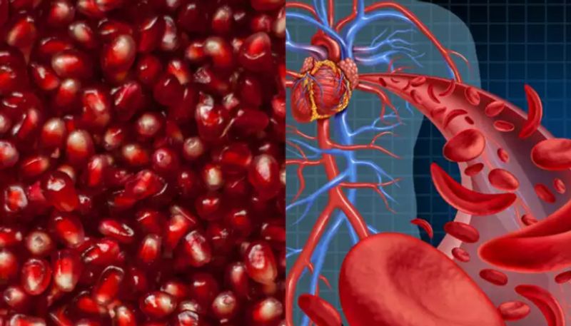 iron rich foods for low hemoglobin levels