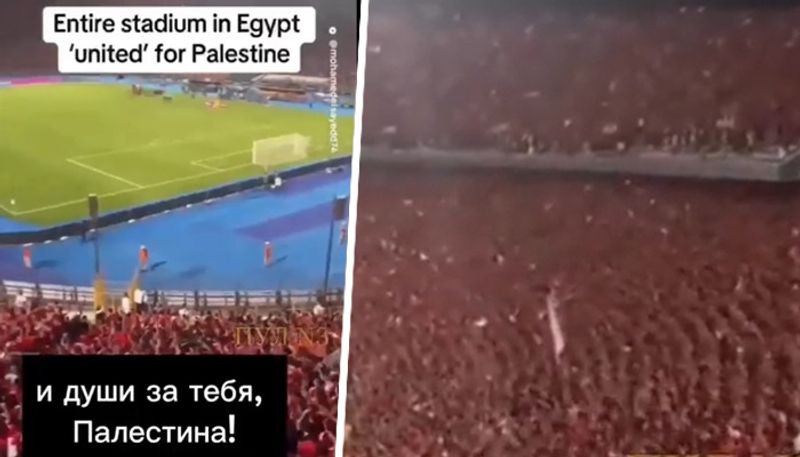 Viral Video: Egyptian football stadium erupts with chants of solidarity for Palestine amid Gaza war (WATCH) snt