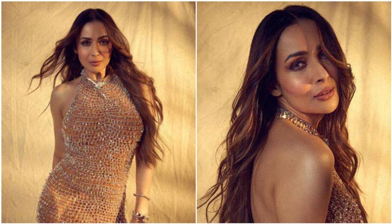 Malaika Arora flaunts her perfect figure as she dazzles in crystal-adorned bodycon dress SHG