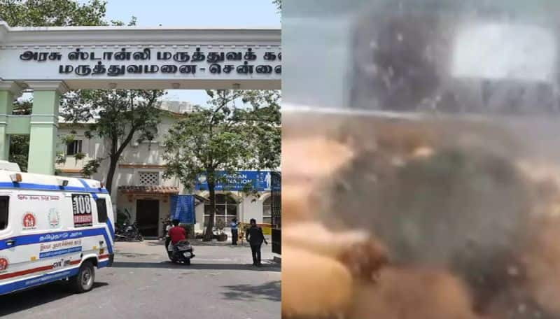 Rat found eating foods in Chennai Stanley GH Canteen Glass box deen ordered to close canteen ans