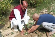 For a Greener Future  Arun Singh Tree Plantation Drives in Primary Schools of UP iwh