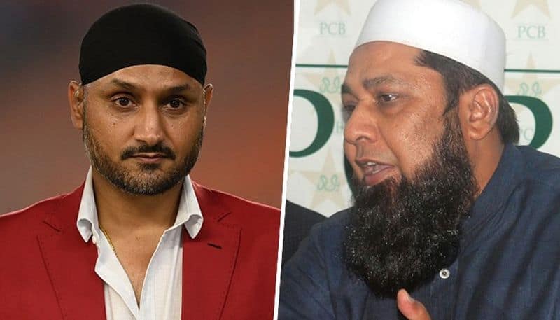 Inzamam-ul-Haq's old video claiming Harbhajan Singh interest in Islam resurfaces; sparks netizens' curiosity snt