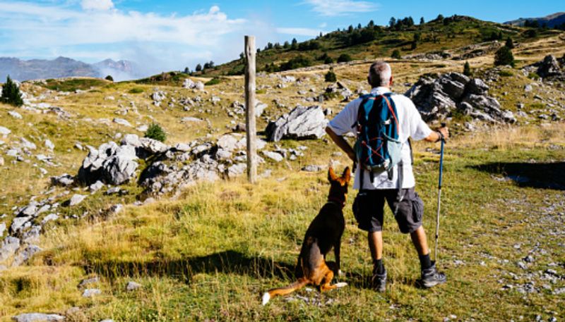 hiker who disappeared in August was found months later with his pet do waiting at his side etj