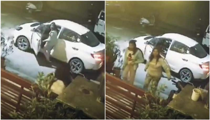 2 women arrive in car steal flower pots Caught on camera btb