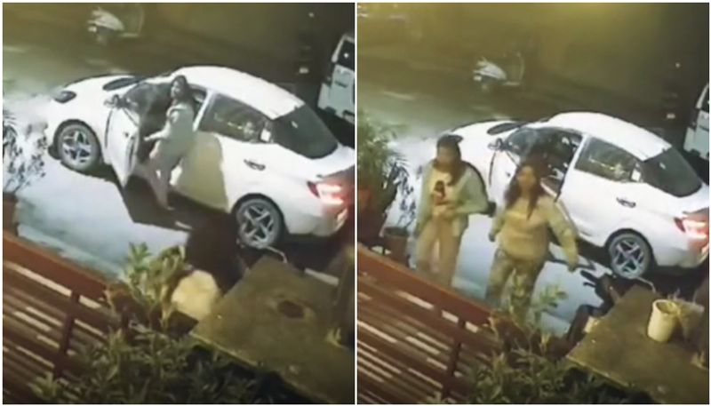 2 women arrive in car steal flower pots Caught on camera btb