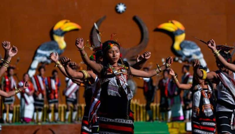 what is hornbill festival in nagaland rlp