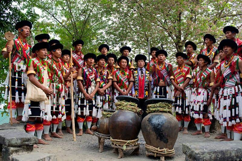 what is hornbill festival in nagaland rlp