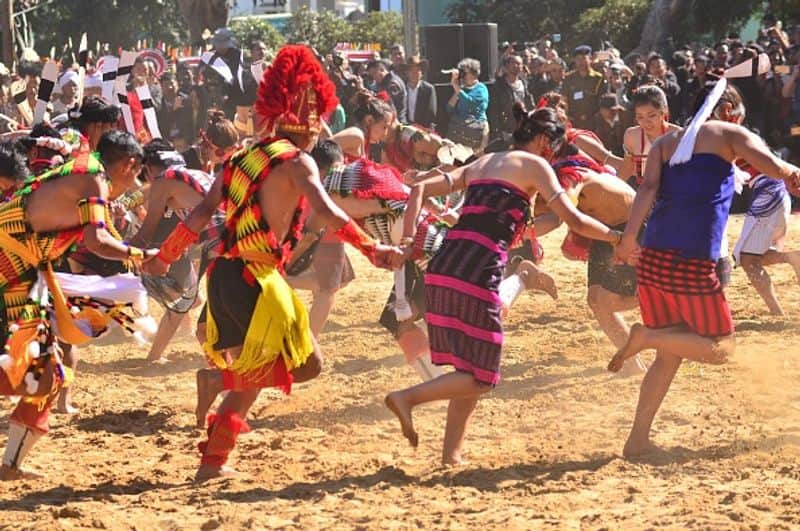 what is hornbill festival in nagaland rlp