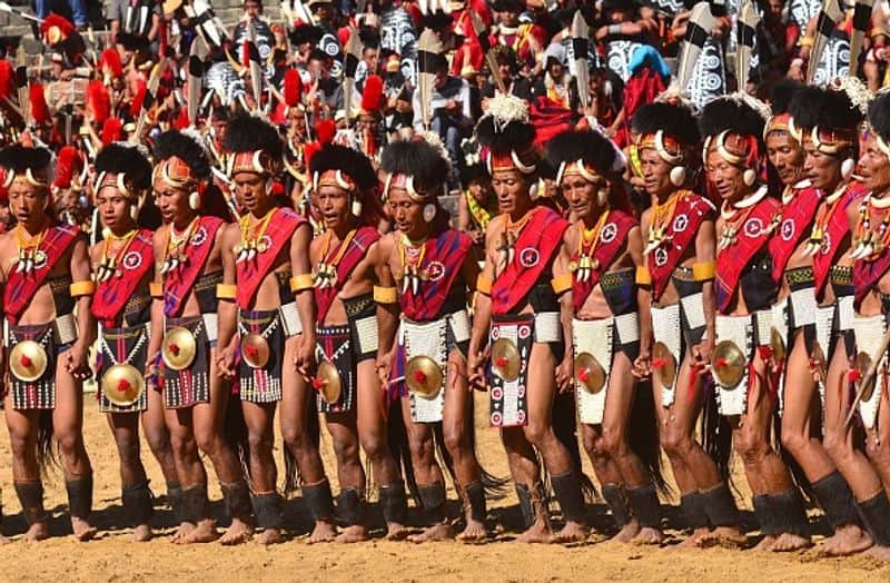 what is hornbill festival in nagaland rlp