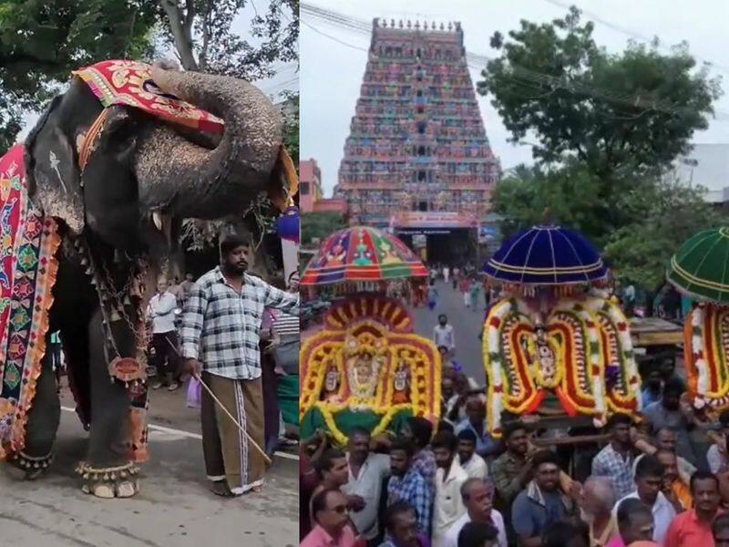 thousands of devotees participated car festival at mayiladuthurai mayuranathar temple vel