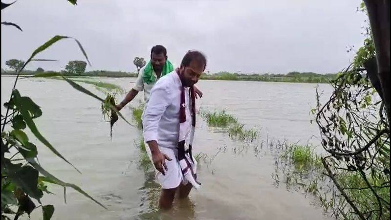 In Nagapattinam 25000 acres of paddy was damaged due to inundation vel