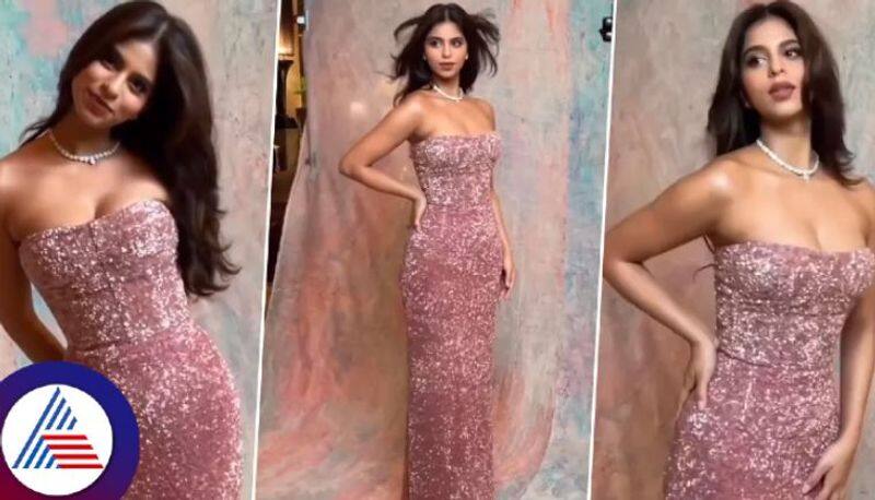 Suhana Khan Slips Into A Corset Dress Worth Rs 45.05 Lakhs, Pairs It With A Purse Of 3.2 Lakhs Vin