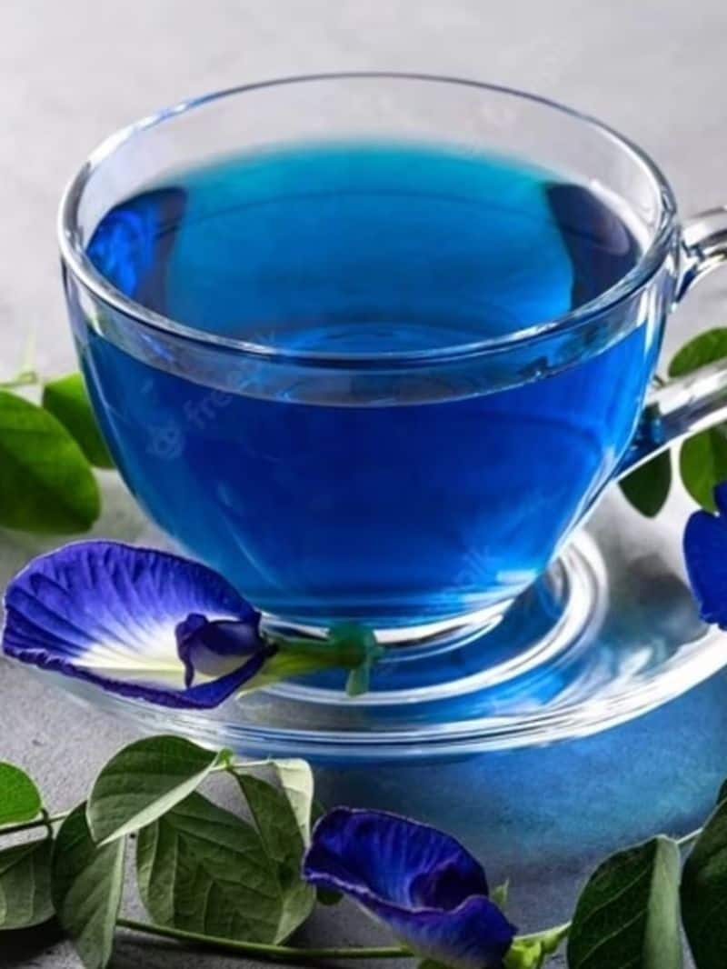  Amazing Health benefits of blue tea rsl