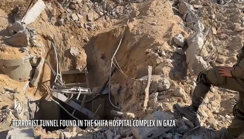 Israel Palestine war: IDF uncovers Hamas terrorist's tunnel in Shifa Hospital complex; check details AJR