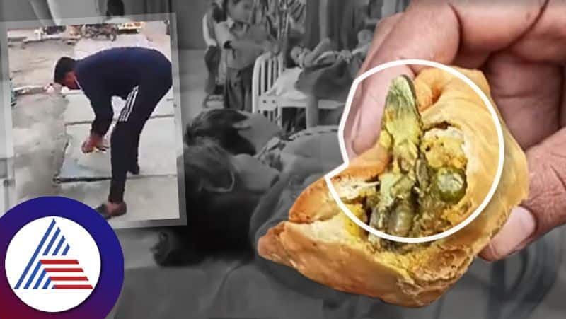 Man Shocked To Find Lizard Inside Samosa In UPs Hapur, Gilr Fallen Sick Vin