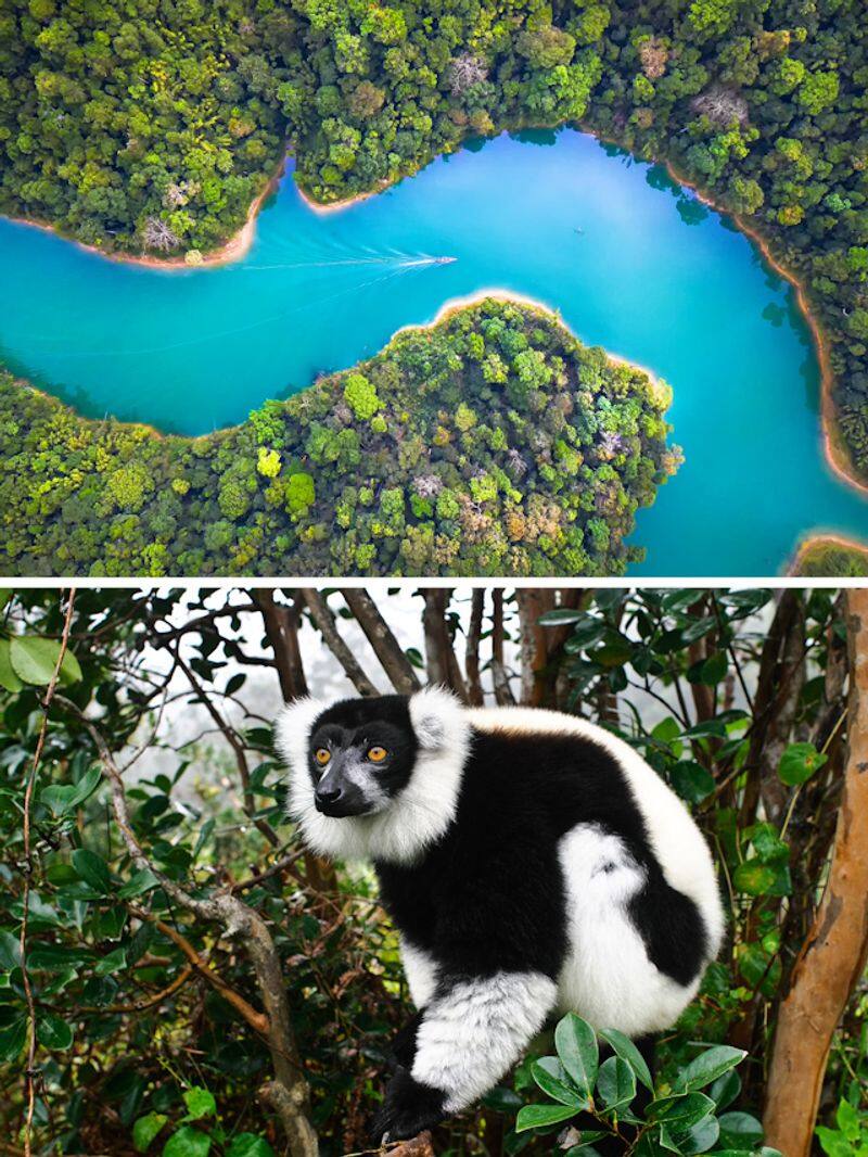 Amazon to Congo Basin rainforest: 7 evergreen rainforests in the world ATG