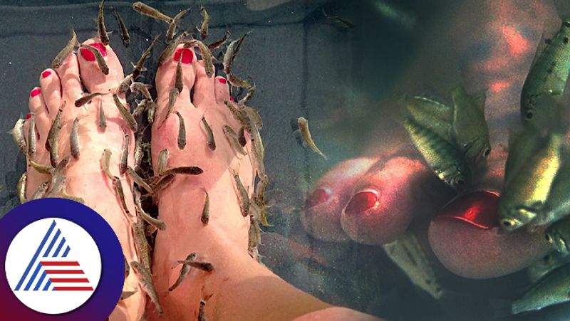 Side Effects Of Fish Pedicure  beauty health tips roo