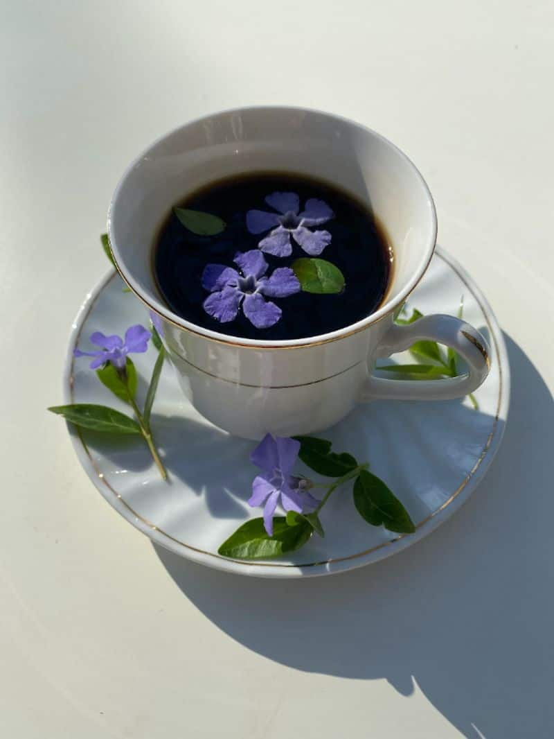 7 amazing health benefits of blue tea rkn 