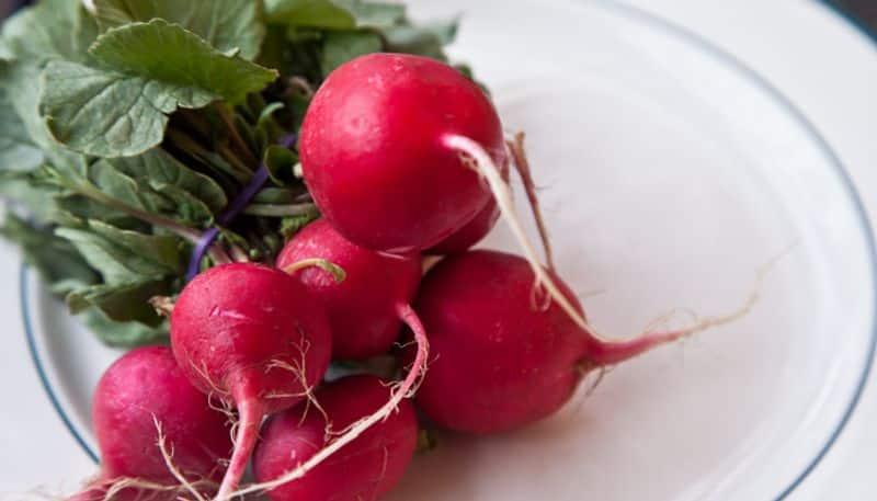 merits of eating  radish daily