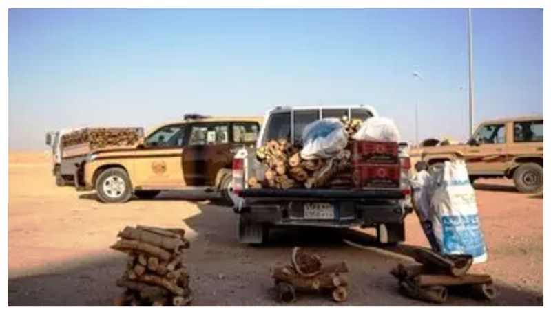 seven foreigners arrested in saudi for illegal firewood sale 